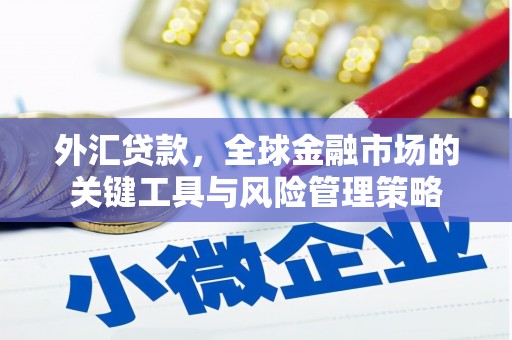 察隅外汇贷款，全球金融市场的关键工具与风险管理策略