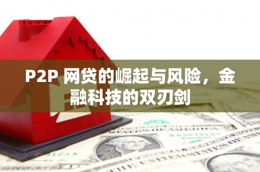 伊吾P2P 网贷的崛起与风险，金融科技的双刃剑