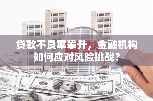长寿贷款不良率攀升，金融机构如何应对风险挑战？