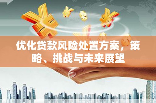 徽州优化贷款风险处置方案，策略、挑战与未来展望