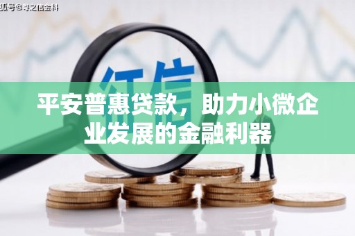 浦江平安普惠贷款，助力小微企业发展的金融利器