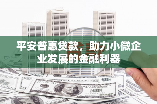振兴平安普惠贷款，助力小微企业发展的金融利器