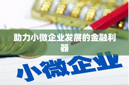 盐山助力小微企业发展的金融利器