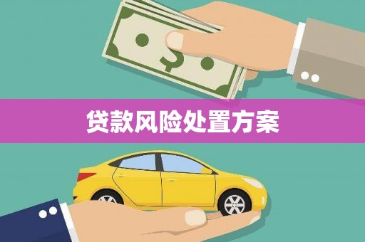 德清贷款风险处置方案