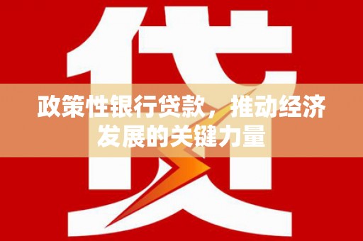 普湾新区政策性银行贷款，推动经济发展的关键力量