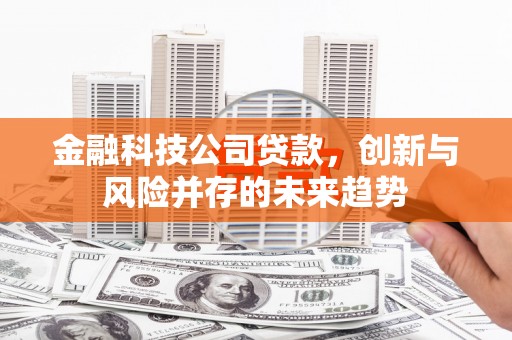 丹徒金融科技公司贷款，创新与风险并存的未来趋势