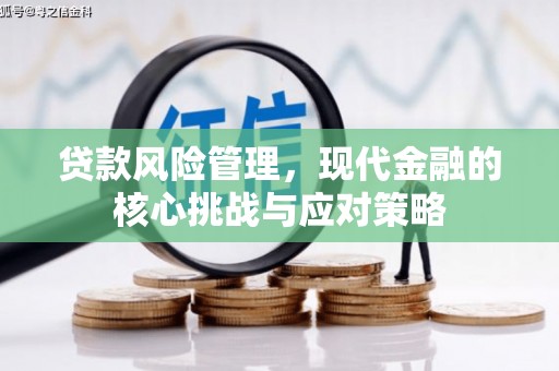 洋县贷款风险管理，现代金融的核心挑战与应对策略