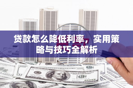茂林贷款怎么降低利率，实用策略与技巧全解析