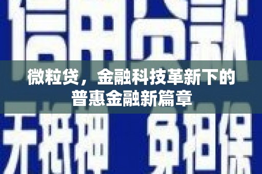 芦淞微粒贷，金融科技革新下的普惠金融新篇章