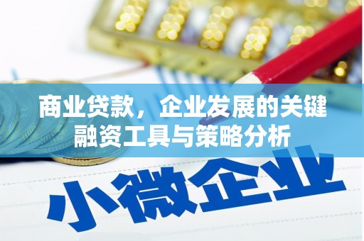 九龙城商业贷款，企业发展的关键融资工具与策略分析