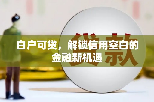 九台白户可贷，解锁信用空白的金融新机遇