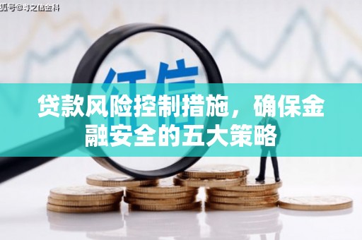 洛扎贷款风险控制措施，确保金融安全的五大策略