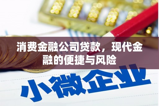 新沂消费金融公司贷款，现代金融的便捷与风险
