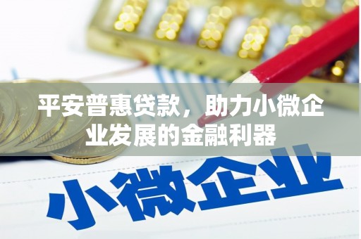 长滨平安普惠贷款，助力小微企业发展的金融利器