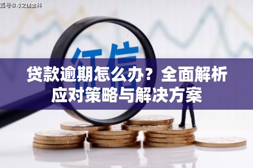 栖霞贷款逾期怎么办？全面解析应对策略与解决方案