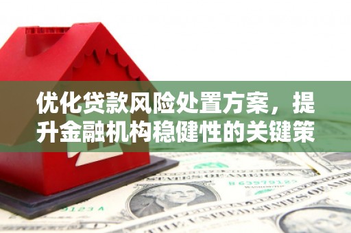 容县优化贷款风险处置方案，提升金融机构稳健性的关键策略