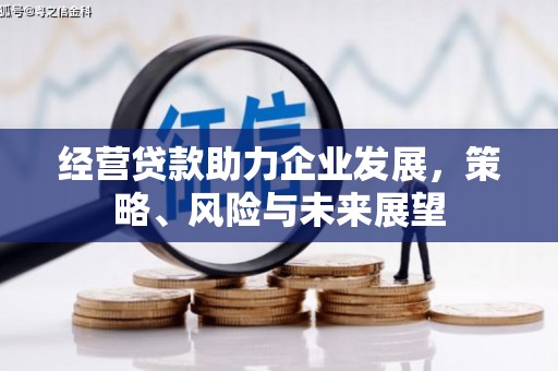 文山经营贷款助力企业发展，策略、风险与未来展望