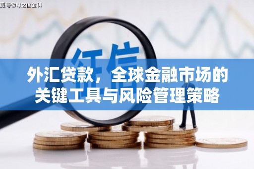 舞钢外汇贷款，全球金融市场的关键工具与风险管理策略