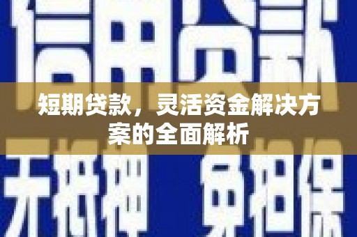 九原短期贷款，灵活资金解决方案的全面解析