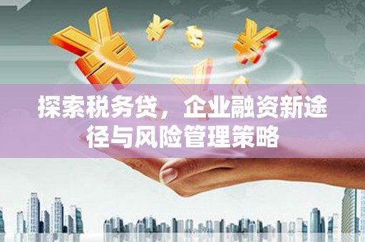 弥陀探索税务贷，企业融资新途径与风险管理策略