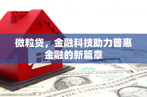 枋寮微粒贷，金融科技助力普惠金融的新篇章