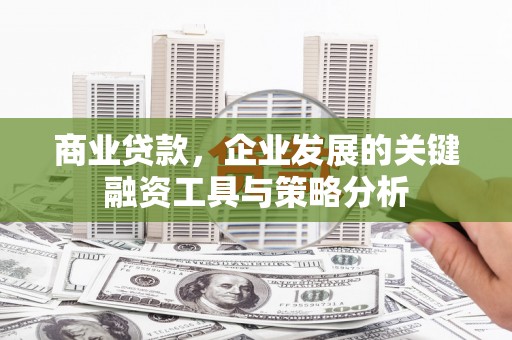 雷州商业贷款，企业发展的关键融资工具与策略分析