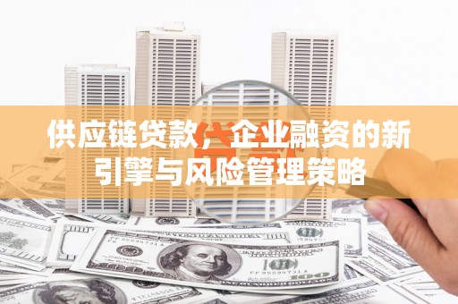 麟洛供应链贷款，企业融资的新引擎与风险管理策略