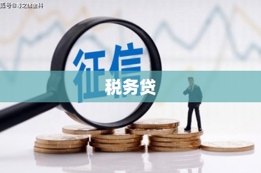 小港税务贷
