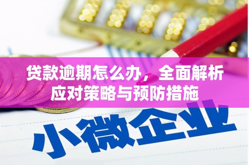 泸水贷款逾期怎么办，全面解析应对策略与预防措施