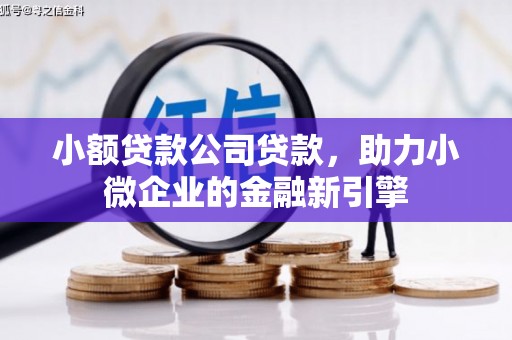 乾安小额贷款公司贷款，助力小微企业的金融新引擎