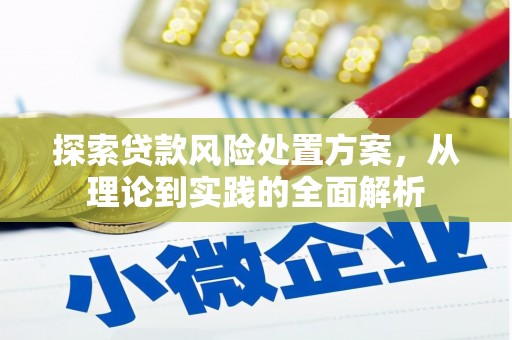 谢岗探索贷款风险处置方案，从理论到实践的全面解析