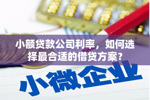 离岛小额贷款公司利率，如何选择最合适的借贷方案？