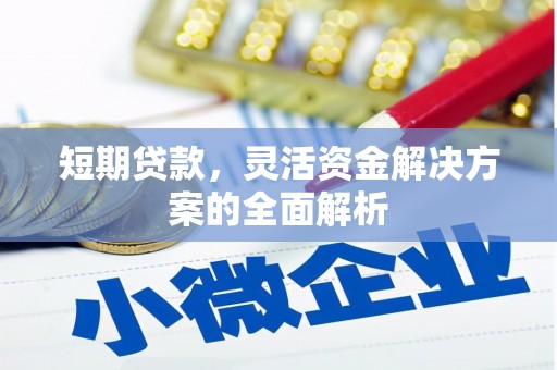 万源短期贷款，灵活资金解决方案的全面解析