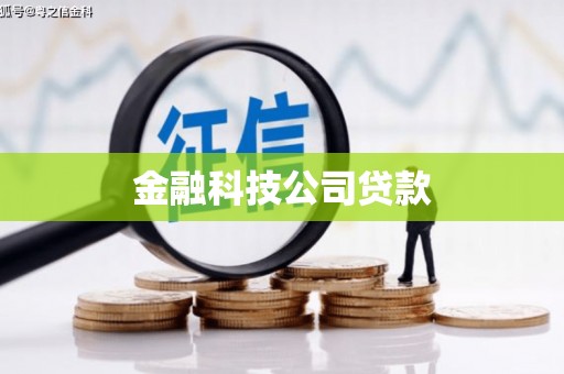 文县金融科技公司贷款