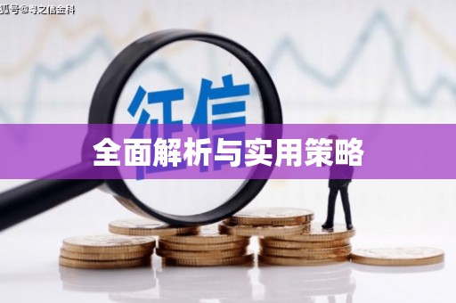 巨野全面解析与实用策略