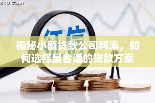 武川揭秘小额贷款公司利率，如何选择最合适的贷款方案