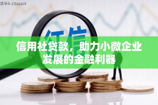 伸港信用社贷款，助力小微企业发展的金融利器