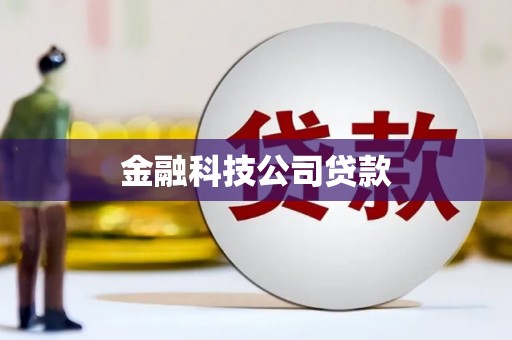港闸金融科技公司贷款