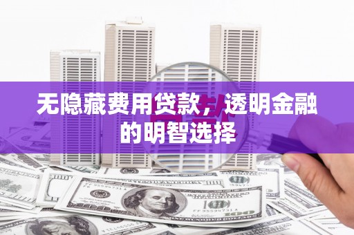 田林无隐藏费用贷款，透明金融的明智选择