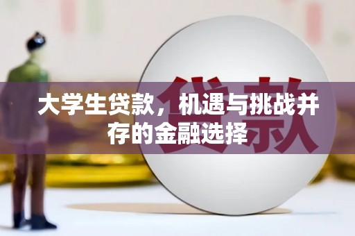 临猗大学生贷款，机遇与挑战并存的金融选择