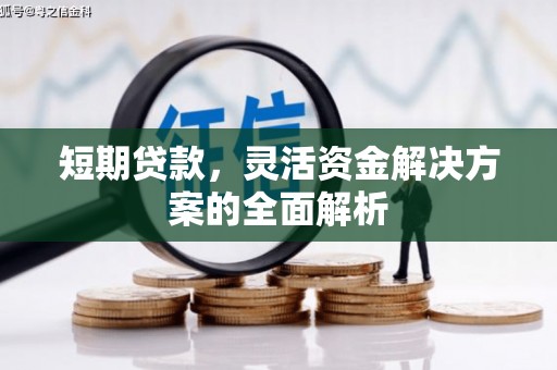 宁河短期贷款，灵活资金解决方案的全面解析