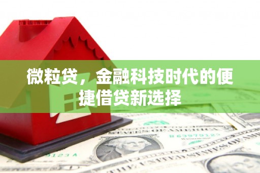 芦溪微粒贷，金融科技时代的便捷借贷新选择