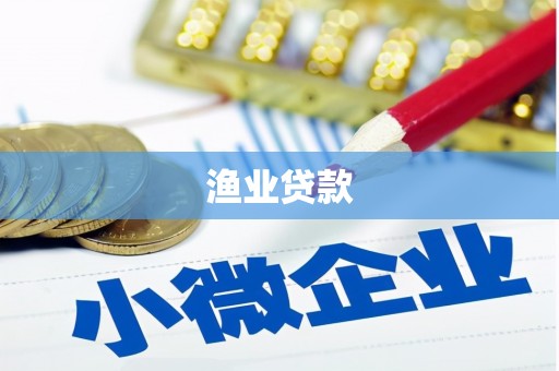 孙吴渔业贷款