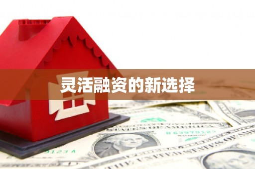 武侯灵活融资的新选择