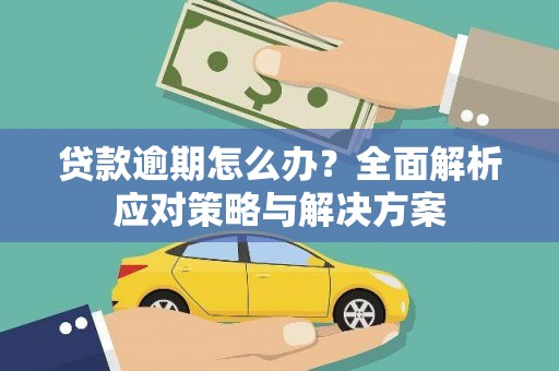 莎车贷款逾期怎么办？全面解析应对策略与解决方案