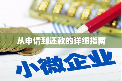 崖州从申请到还款的详细指南