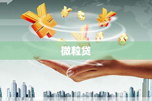 昭苏微粒贷