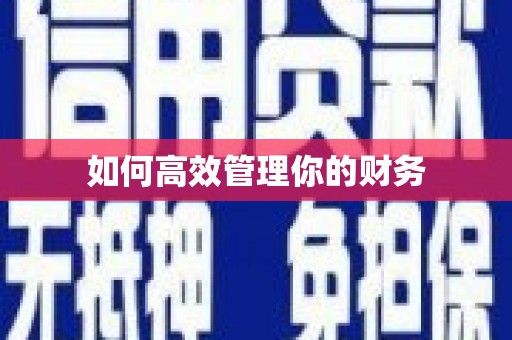 双清如何高效管理你的财务