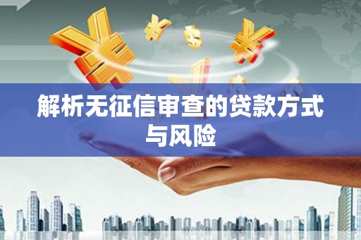 树林解析无征信审查的贷款方式与风险