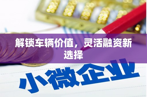 屏边解锁车辆价值，灵活融资新选择